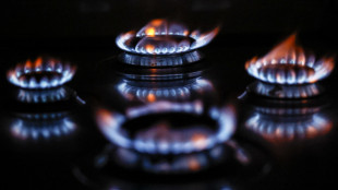 Eurostat, prezzi del gas in aumento, in Italia tra i più cari