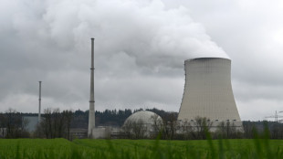 L'Allemagne sort, divis&eacute;e, de l'&egrave;re du nucl&eacute;aire