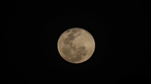 Luna, ok al progetto italiano per il modulo destinato alla base