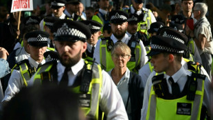 London: Über 425 Festnahmen bei Protest für verbotene pro-palästinensische Gruppe