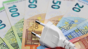 Arera, fino 30/6 elettricit&agrave; a tutele graduali per vulnerabili