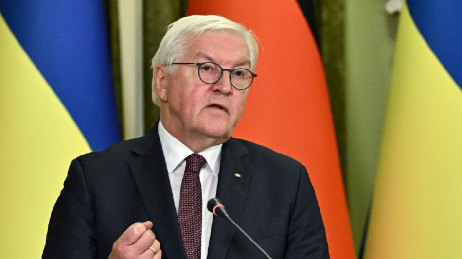 Steinmeier fordert zu weiteren Hilfen f&uuml;r Ukraine auf
