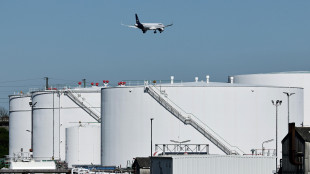 Mase al lavoro su Piano gas e misure Iea contro emergenza