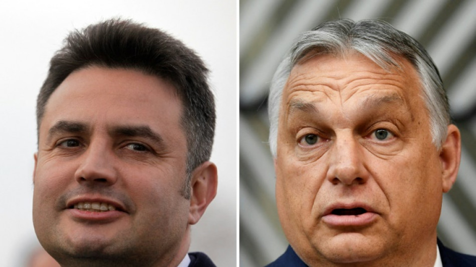 Jour de vote en Hongrie, Orban en qu&ecirc;te d'un quatri&egrave;me mandat
