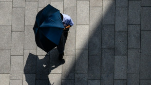 Verbände und Opposition fordern von Bundesregierung besseren Hitzeschutz