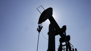 Il petrolio in rialzo a New York a 89,63 dollari