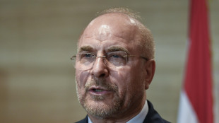 Ghalibaf, 'presto gli Usa rimpiangeranno i 4-5 dollari a gallone'