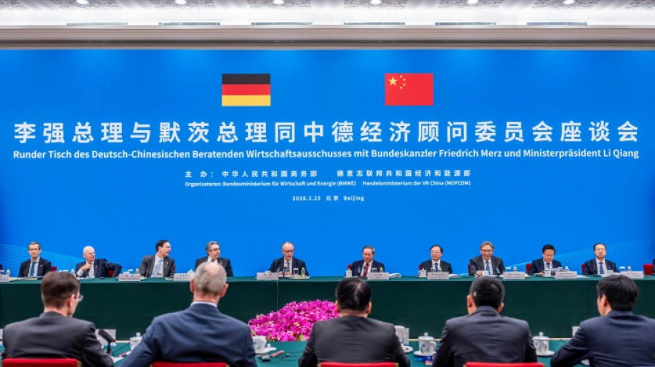 Merz ruft bei Wirtschaftsgespr&auml;chen in China zu Abbau "marktverzerrende Subventionen" auf