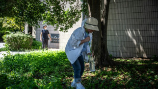 "Agir avant qu'il ne soit trop tard" : &agrave; Tokyo, l'ombre des arbres devient une denr&eacute;e rare