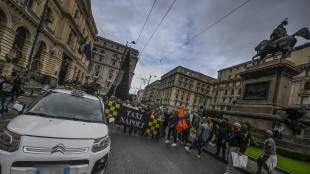 Incostituzionali gli obblighi imposti agli Ncc