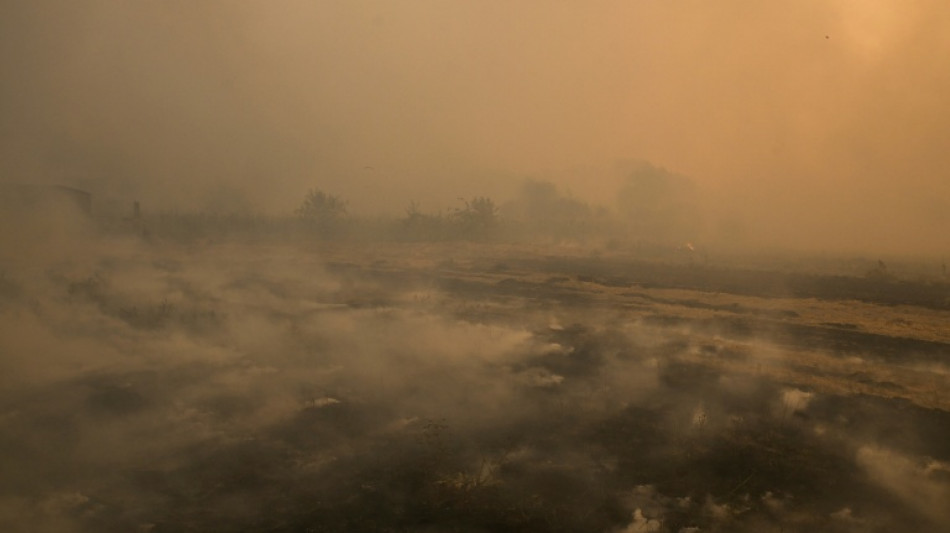 Nuevo fuego en la zona afectada por la pasada ola de incendios en España