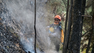 Schools closed as Indonesia battles wildfires 
