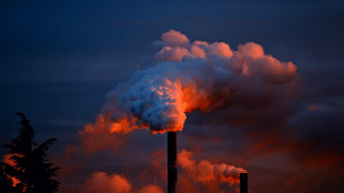 Ecco, rallenta la transizione energetica in Italia