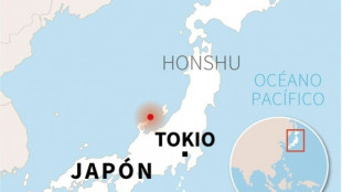 Sismo de magnitud 6,3 en el centro de Jap&oacute;n, sin alerta de tsunami