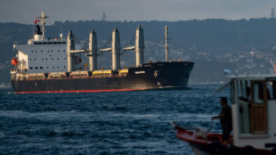 Espa&ntilde;a busca promover la importaci&oacute;n de granos ucranianos por tren