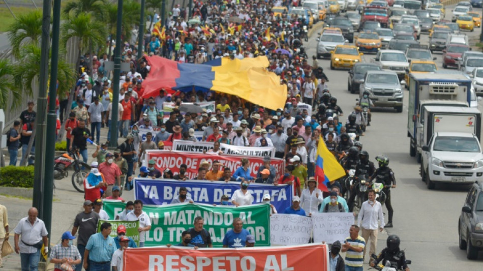 Productores de banano de Ecuador protestan por ca&iacute;da de ventas y precio por guerra en Ucrania