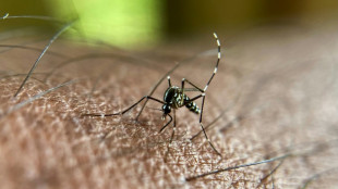 Le chikungunya toujours sur une pente croissante dans l'Hexagone