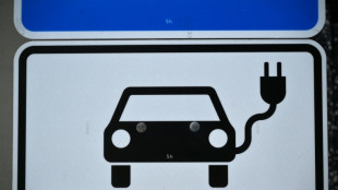 Fran&ccedil;a e Alemanha oficializam acordo que desacelera transi&ccedil;&atilde;o total a ve&iacute;culos el&eacute;tricos