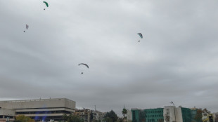 Des dizaines de milliers de Syriens c&eacute;l&egrave;brent l'anniversaire de la chute d'Assad