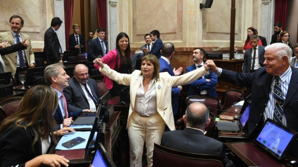 Argentine: victoire pour Milei, sa r&eacute;forme de flexibilisation du travail d&eacute;finitivement adopt&eacute;e