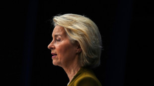 Von der Leyen condanna attacchi degli Houthi a Riad, 'lavoriamo per stabilit&agrave;'