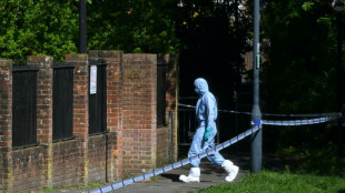 Dos j&oacute;venes son detenidos tras un intento de incendio contra una sinagoga en Londres