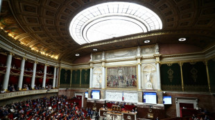 L'Assemblée s'empare de la sensible réforme du scrutin à Paris, Lyon et Marseille