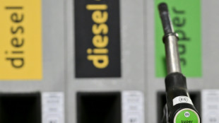 Bundesregierung: Vorerst keine weiteren Ma&szlig;nahmen wegen Sprit- und Energiepreisen