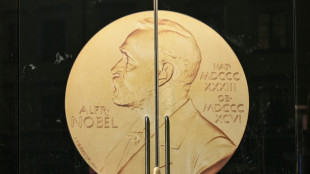 Nobel d'économie: intelligence artificielle ou écart de richesse pour clore la saison 2025