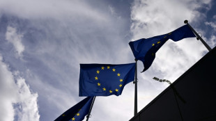 EU-Beitritt: Br&uuml;ssel will Verfahren vereinfachen und sich zugleich besser absichern