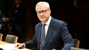 Déficit: RN et LFI mettent en cause la sincérité du budget et des élections en 2024