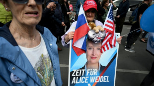 SPD dringt auf schnelle Entscheidung über mögliches AfD-Verbotsverfahren