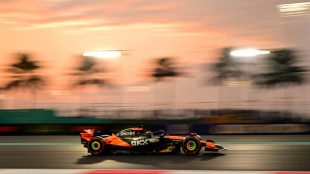 F1: Norris encore devant Verstappen lors des essais libres 2 &agrave; Abou Dhabi, Piastri 11e