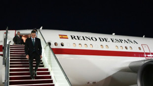 Pedro Sánchez llama a intensificar la "presión sobre Israel para parar la masacre en Gaza"