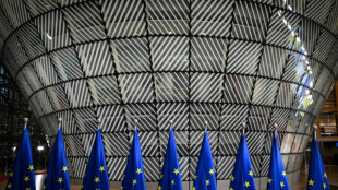 EU-Kommission will Abschiebungen in Drittstaaten vereinfachen