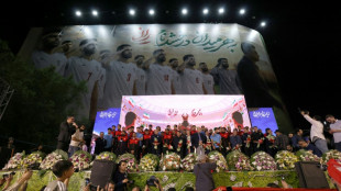Iran's World Cup football team leaves for Turkey: media