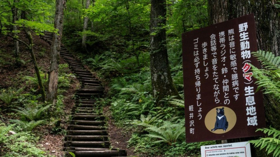 Gobernador japon&eacute;s pide ayuda militar ante ataques de osos