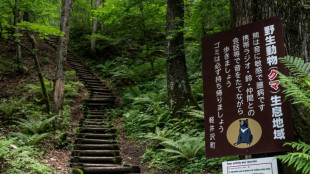 Gobernador japon&eacute;s pide ayuda militar ante ataques de osos