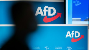 AfD-Parteitag best&auml;tigt Chrupalla knapp als Vorsitzenden