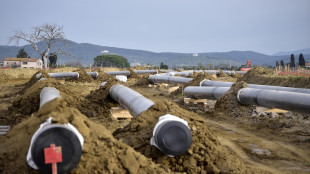 Il prezzo del gas chiude il leggero calo a 31,7 euro