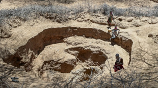 Corne de l'Afrique: l'ONU récolte 2,4 milliards de dollars et espère éviter une famine