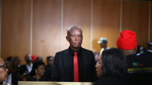 South Africa's firebrand Malema handed jail term on gun charges