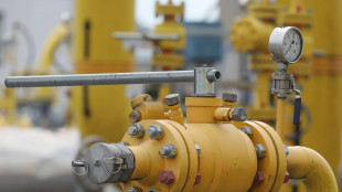 Il gas parte in aumento (+2%) a 75 euro al Megawattora