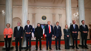 Bundesregierung: Merz nimmt an Videokonferenz der "Koalition der Willigen" am Dienstag teil