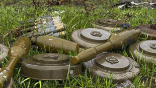 Mosca, 'Pyongyang invierà nel Kursk sminatori e operai