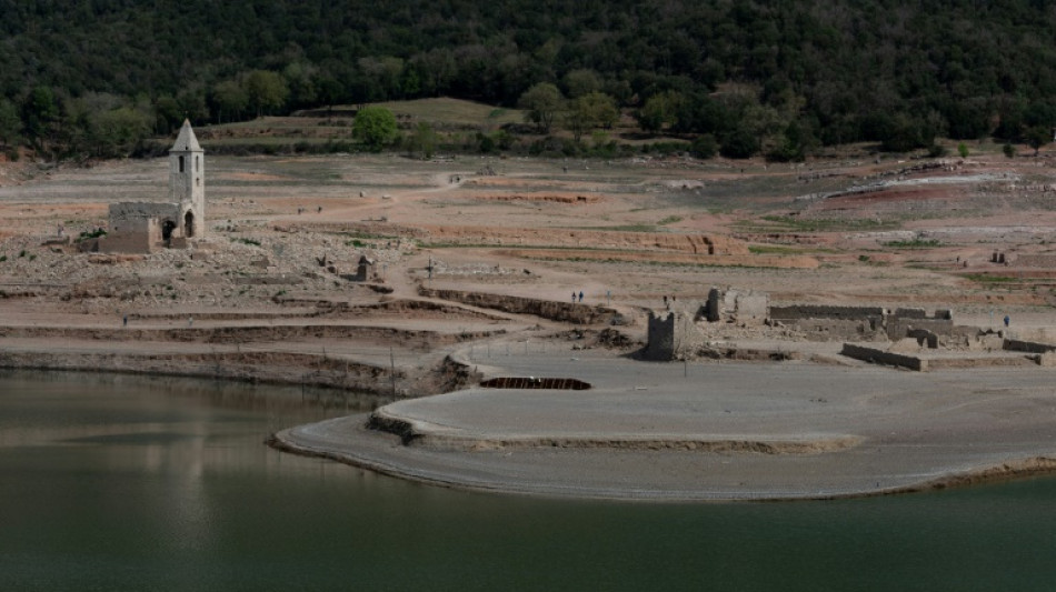 Sin lluvias, la sequ&iacute;a en Catalu&ntilde;a no deja de agravarse