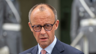 Merz zur Stromsteuer: Prüfen "mit gutem Willen" auch Senkung für Privathaushalte