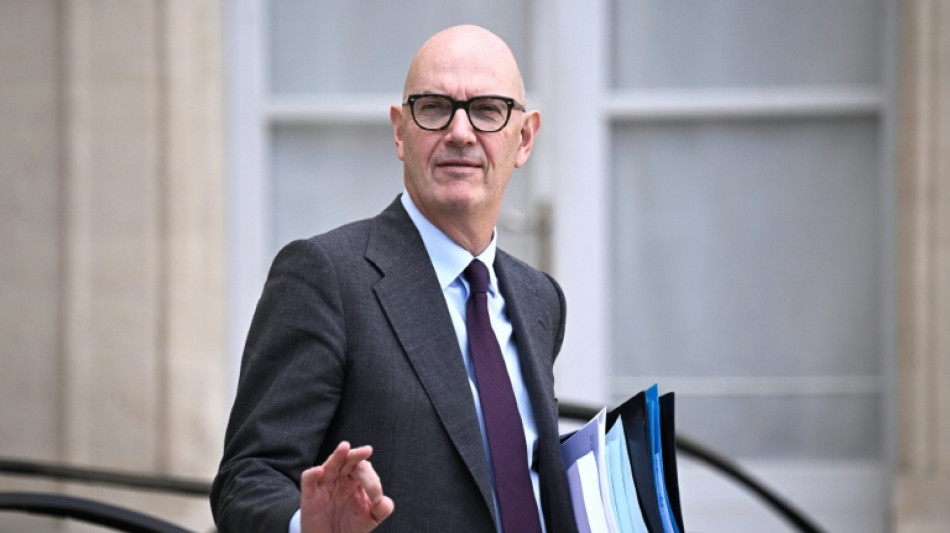 Fran&ccedil;a investigar&aacute; plataformas de com&eacute;rcio ap&oacute;s esc&acirc;ndalo de bonecas sexuais