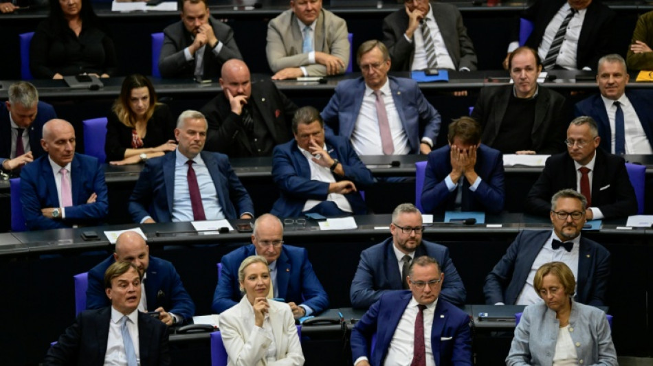 Rhein fordert Ausschussposten im Bundestag f&uuml;r AfD - Unionsfraktion widerspricht