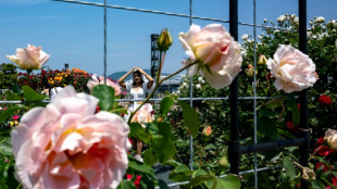 El PIB de Japón se contrae un 0,2% en el primer trimestre